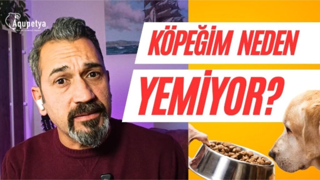köpeğim neden yemiyor kapak